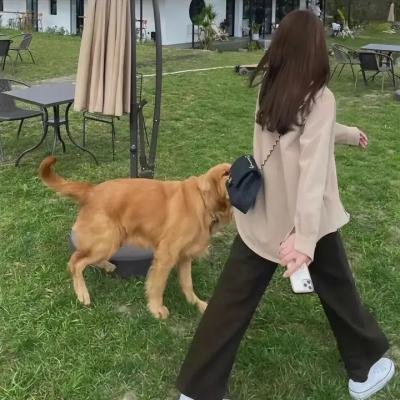 我们要上校